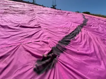 SFPD arrests man in pink triangle vandalism