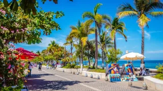Puerto Vallarta City Council Approves “Distintivo I” to Advance Inclusive Tourism