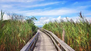 Beyond the Pines: Cherry Grove’s Renaissance as a Year-Round Queer Haven